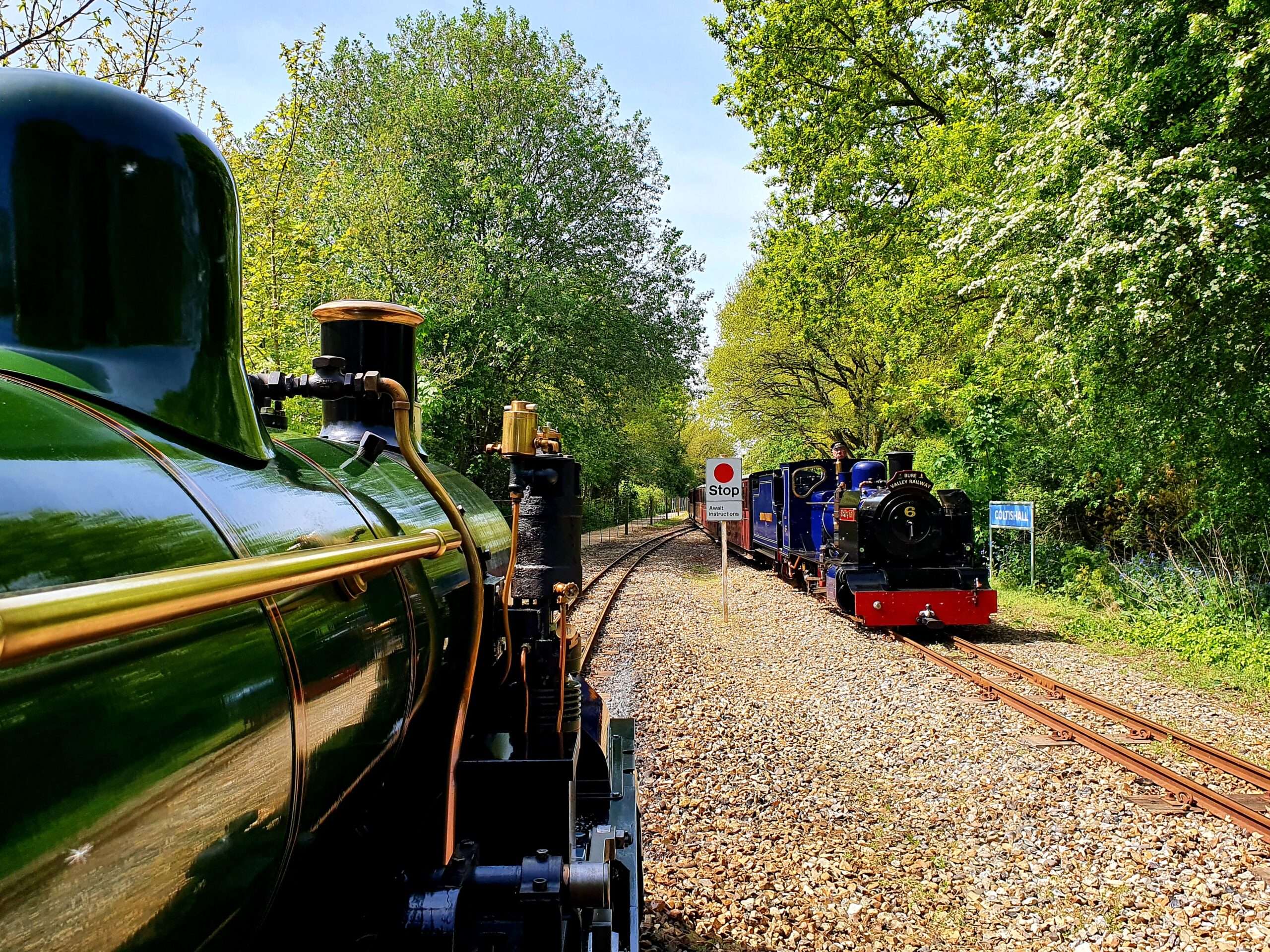 Steam locomotive passing through leafy woodland along the Bure Valley Railway during spring.