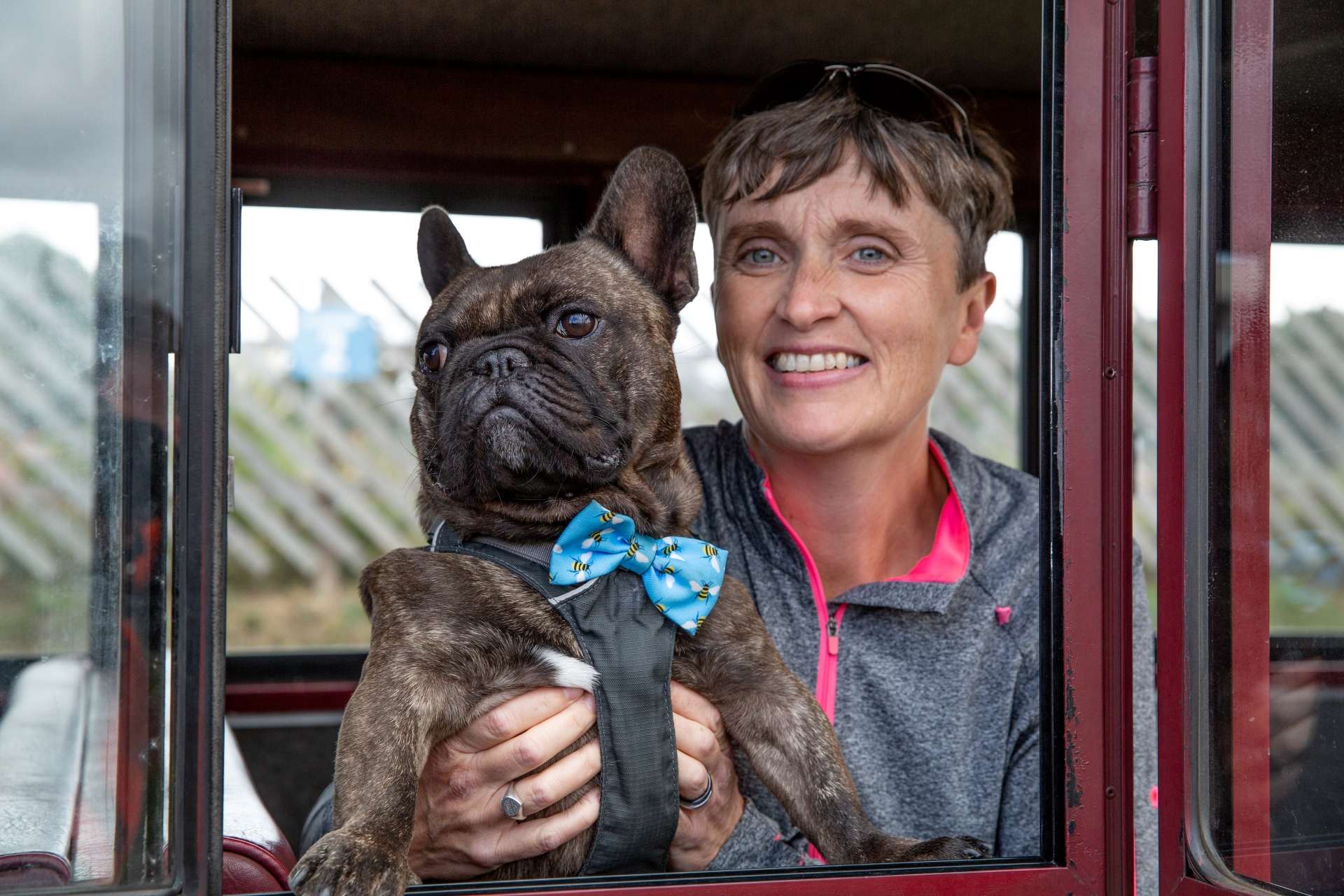 Dog travelling on the Bure Valley Railway with a passenger, highlighting the railway's dog-friendly experience.