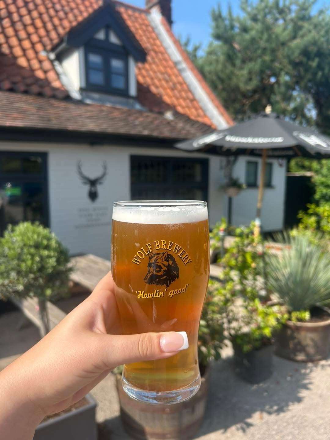 The stag salhouse