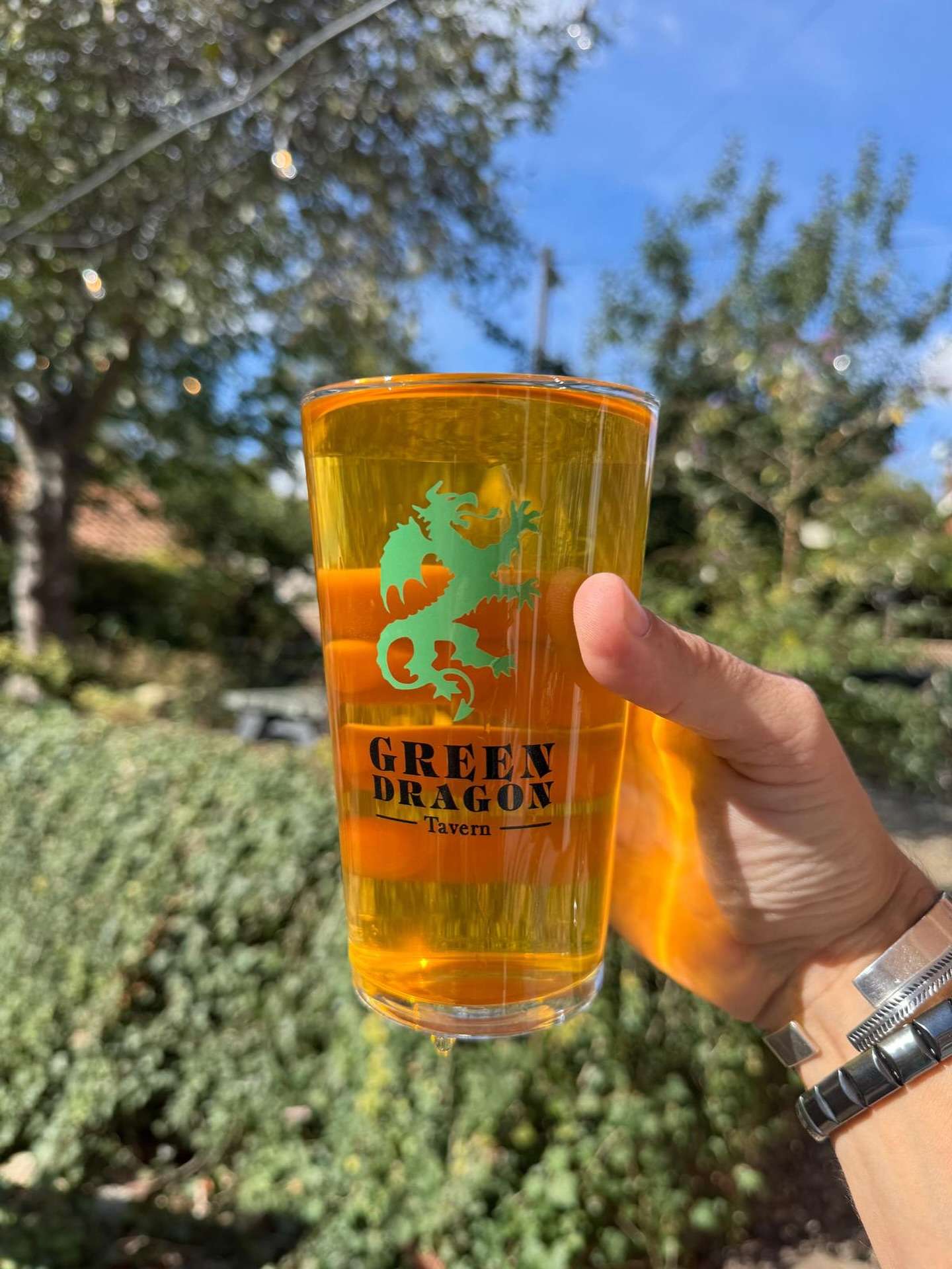 Hand holding a branded Green Dragon reusable drinks cup outdoors, with the pub logo clearly visible against a garden backdrop.