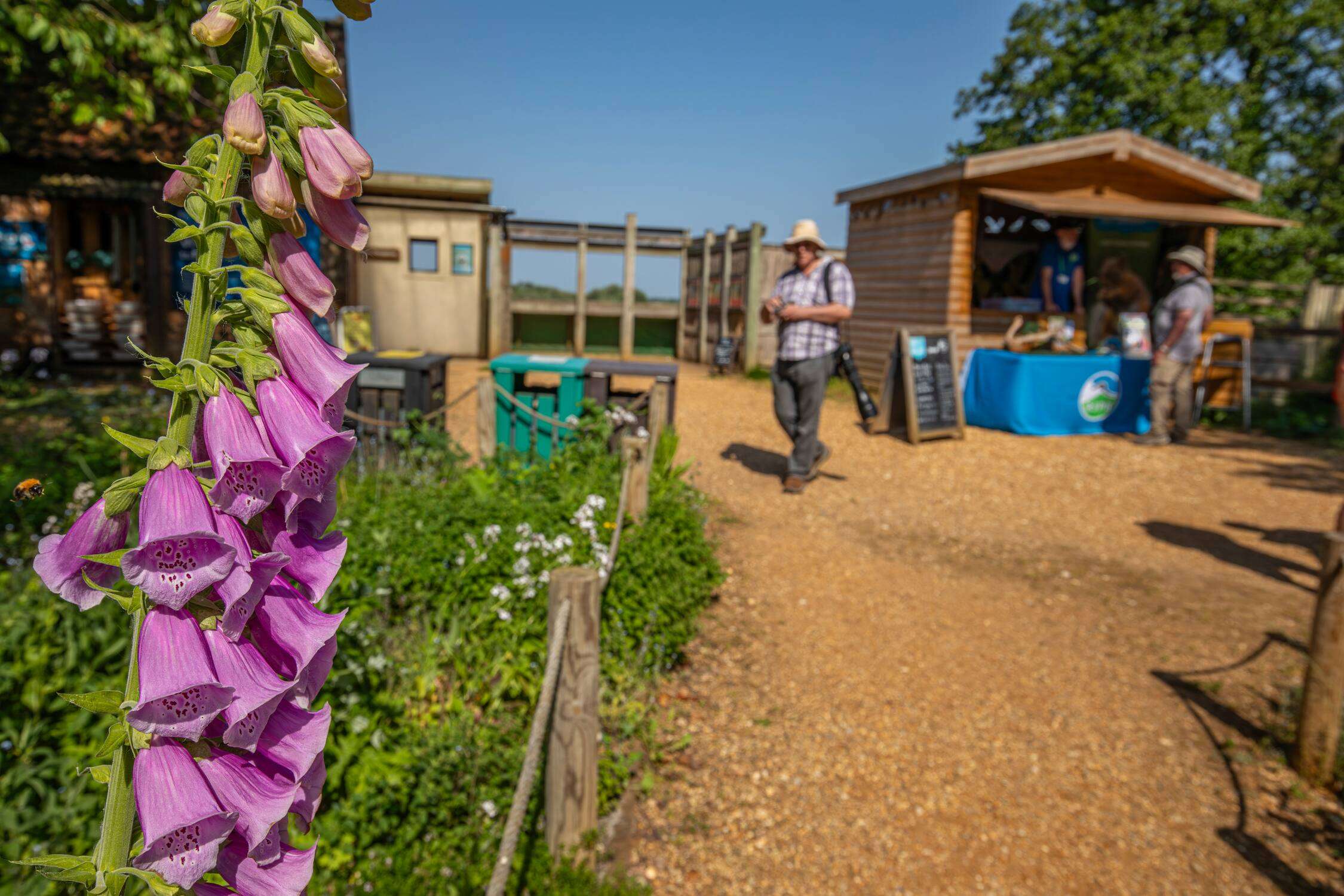 Visitors exploring an RSPB Strumpshae Fen with colourful wildflowers and visitor facilities in the foreground.